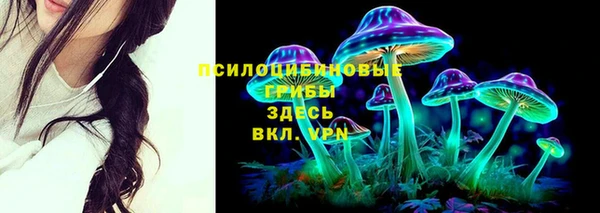 стаф Майский