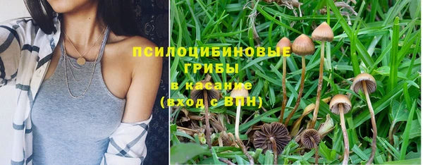 таблы Медногорск