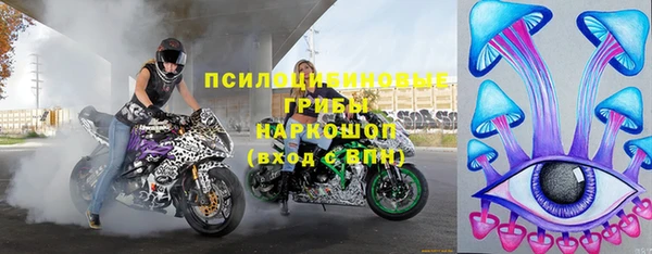 ПСИЛОЦИБИНОВЫЕ ГРИБЫ Магадан