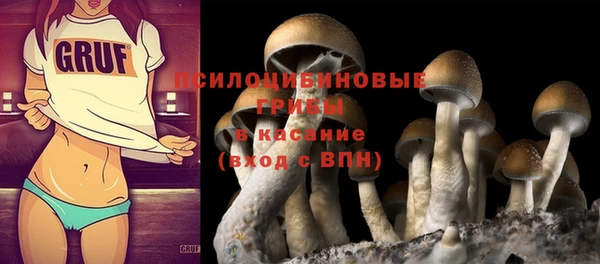 стаф Майский