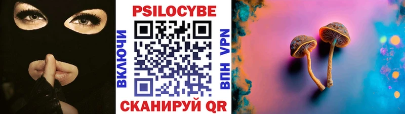 Псилоцибиновые грибы прущие грибы  Инта 